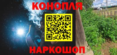 трава Гатчина