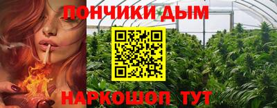 трава Гатчина