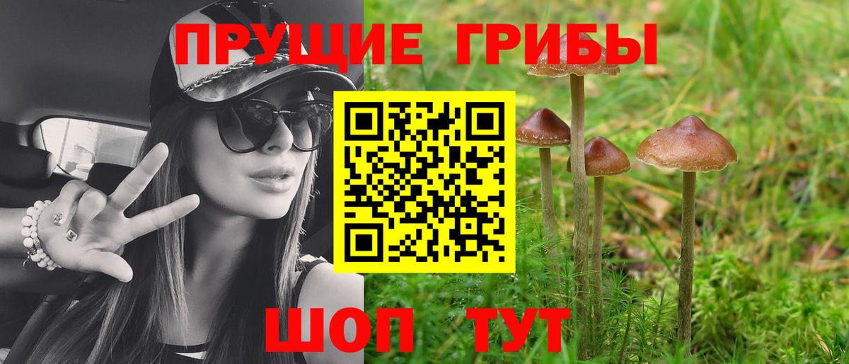 Галлюциногенные грибы Psilocybe  Псилоцибиновые грибы Magic Shrooms  Нижневартовск 
